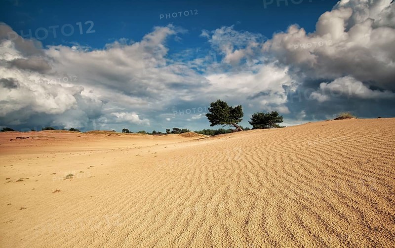 Sand dune textures and stormy sky in summer