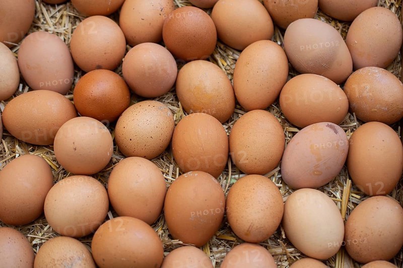Organic fresh farm eggs at the market place
