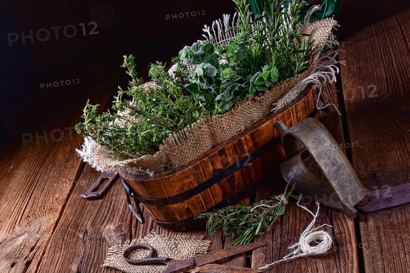 Herbal collection of: thyme, oregano, rosemary
