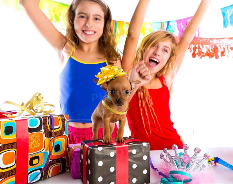 Girl friends party dancing with presents and puppy chihuahua dog in birthday