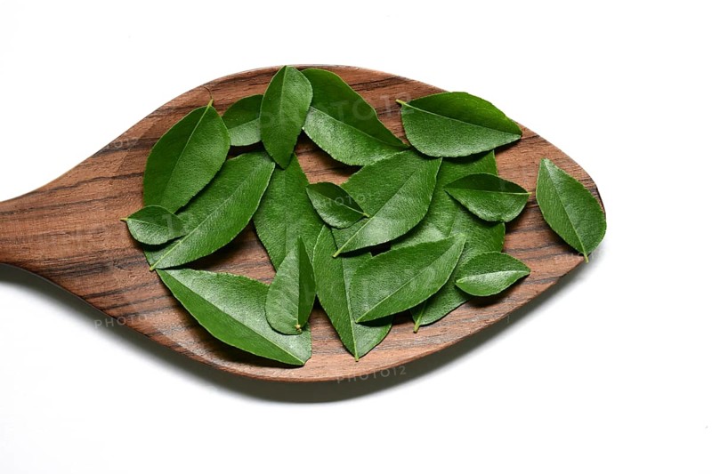 Curry leaves in the wooden spoon