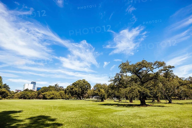 Shinjuku Gyo-en is a large park and garden in Shinjuku and Shibuya, Tokyo, Japan, Asia
