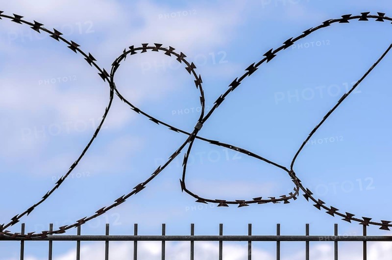 Barbed wire on the fence