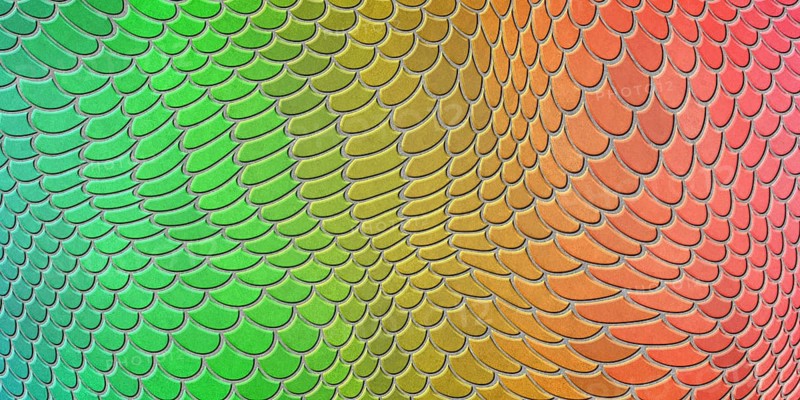 Rainbow mermaid scales, fish scale, Fantasy texture