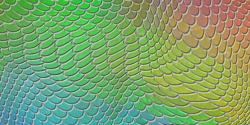 Colorful mermaid scales, fish scale, Fantasy texture