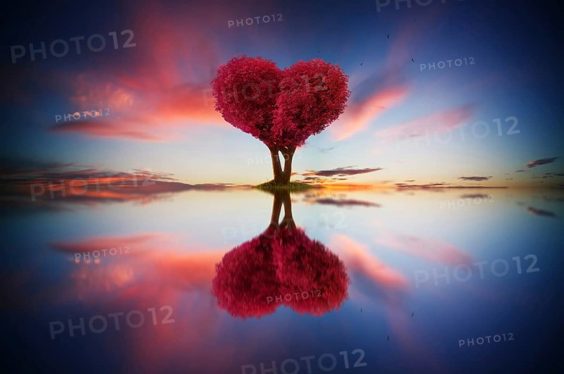 Abstraktes Bild von einsam rotem Farbblatt und Liebe Form Baum bei Sonnenaufgang Szene mit Reflexion in Wasser