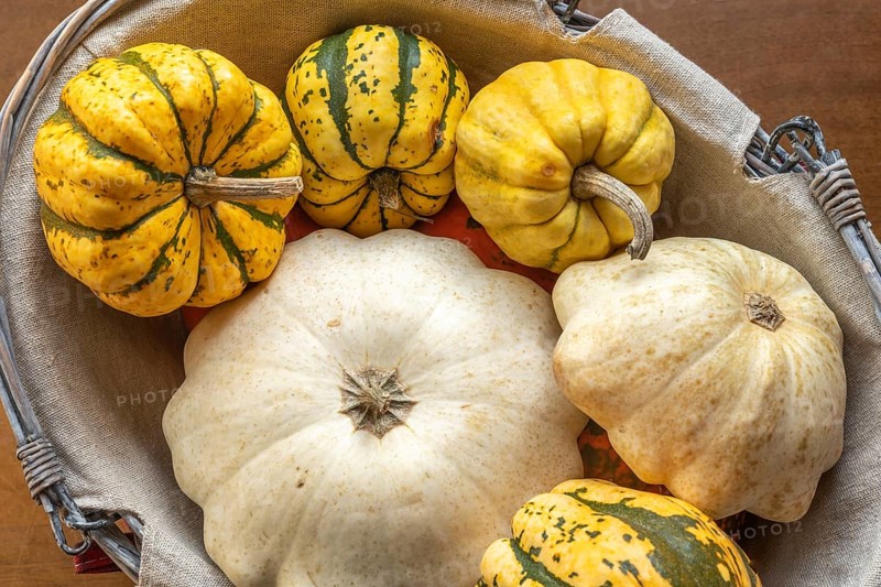 Pumpkin, patisson and jack be little in a decorative basket on a table