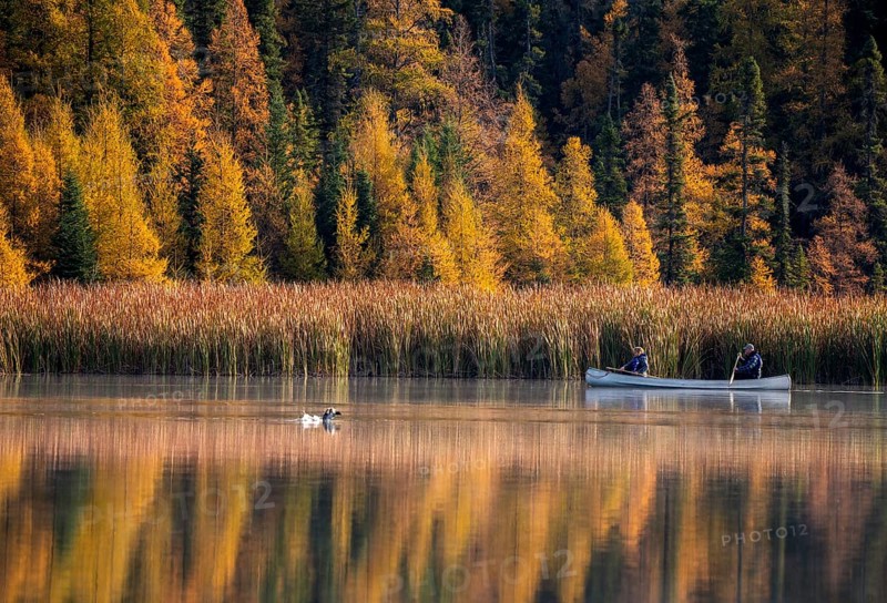 Prairie colors in fall yellow orange trees canoe calm