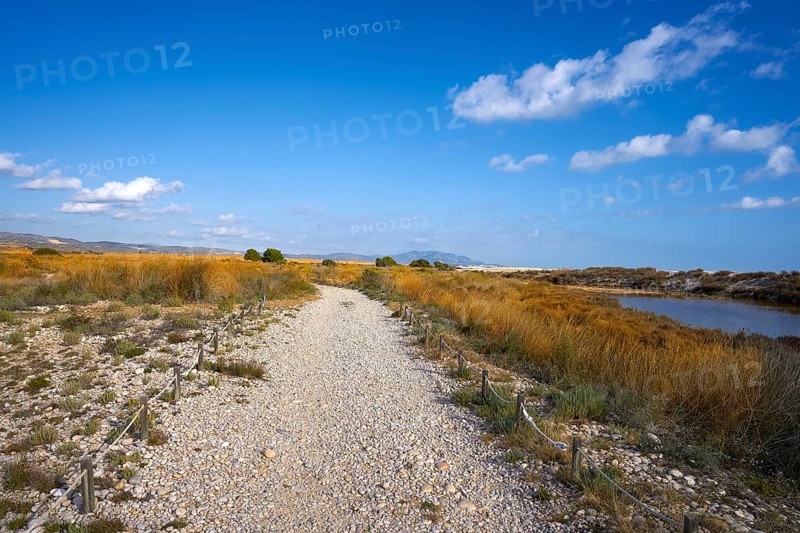Prat Cabanes Torreblanca Natural Park in Castellon of Spain