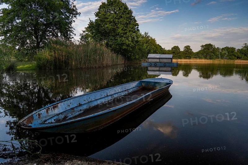 Fishing boat in the reeds