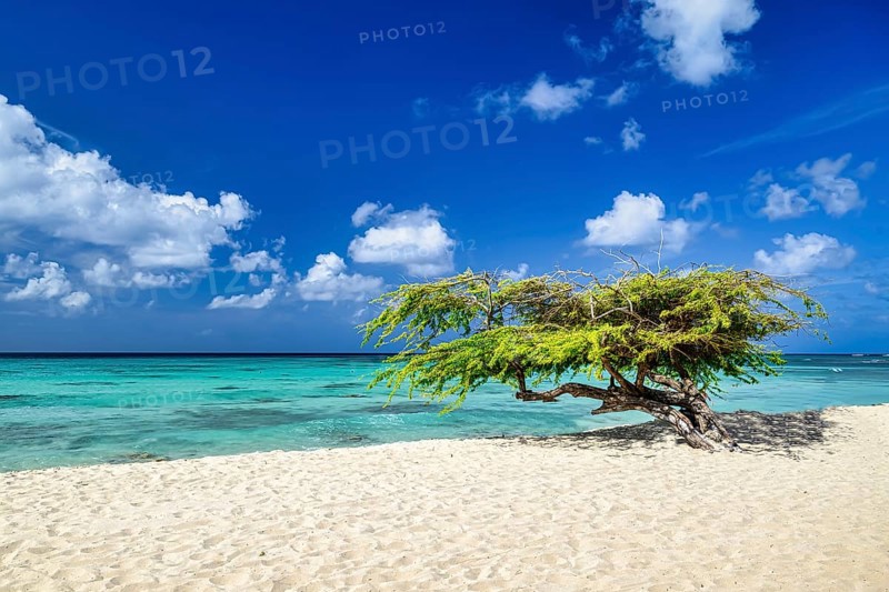 A panoramic view of Arashi Beach on the island of Aruba in the Caribbean with blue skies and white sand
