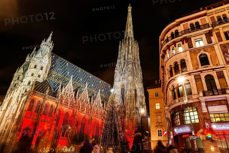 Christmas tree, St Stephen's Cathedral illuminated for Christmas, night shot, Vienna, Austria, Europe