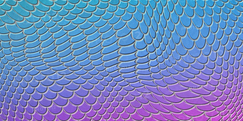 Blue pink mermaid scales, fish scale, Fantasy texture