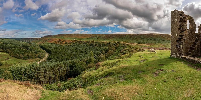North York Moors landscape, looking over Newtondale with Skelton Tower on the right, seen from the Levisham Moor, North Yorkshire, England, UK