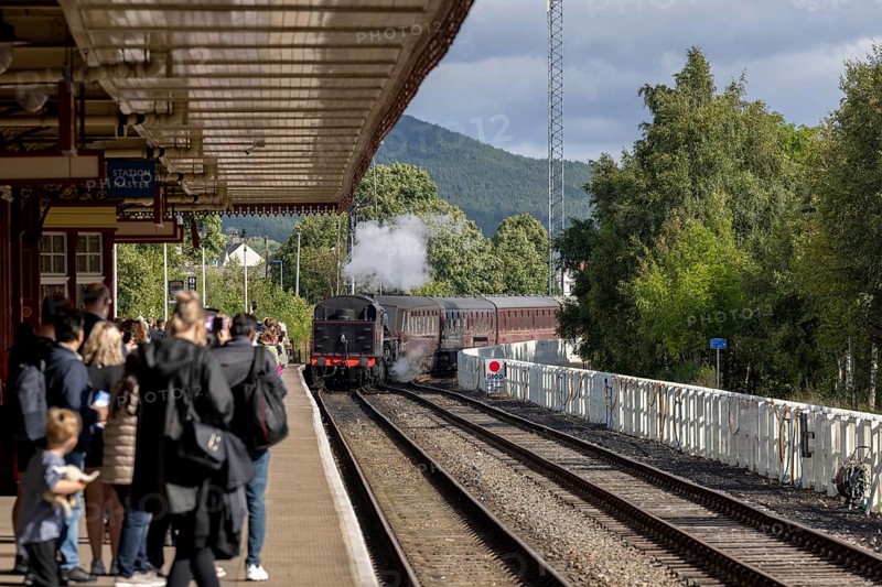 Strathspey railway historic steam train, Aviemore, An Aghaidh Mhór, Highlands, Scotland, Great Britain