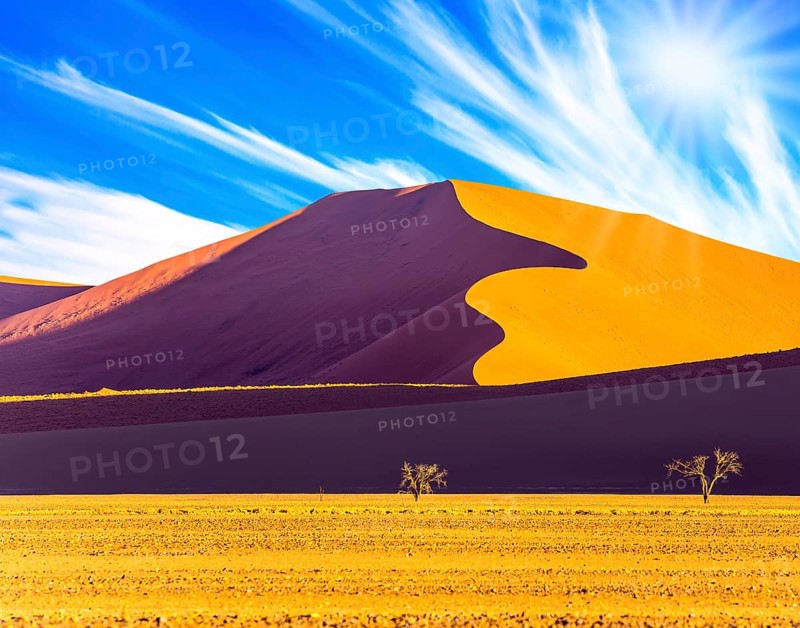 Hot sun of the Namib desert. Namibia, South Africa, sunset. The concept of extreme and exotic tourism. Orange, purple and yellow dunes and small tree, Africa