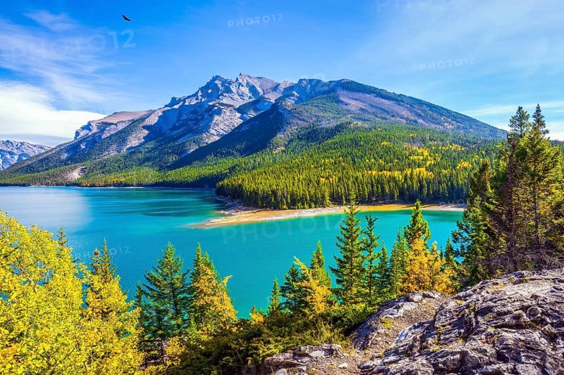 The lake with turquoise water is surrounded by coniferous forests. Lake Two Jack in the Rocky Mountains of Canada. The concept of ecological and active tourism