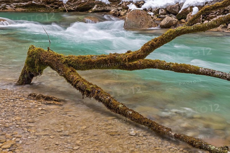 At the Rissbach in winter