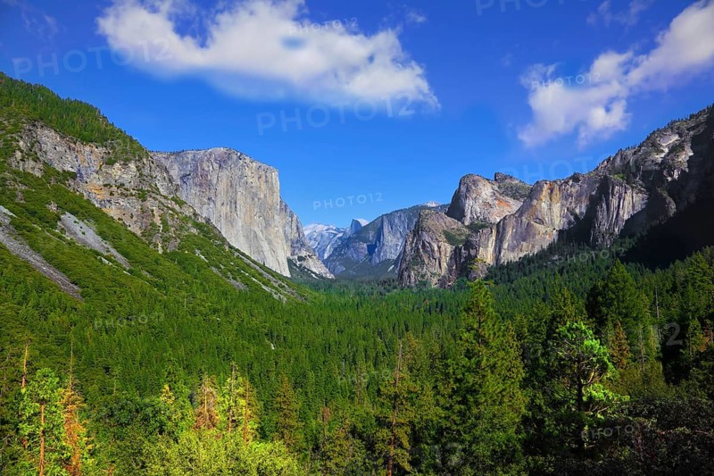 Magnificent panorama of mountains and woods of national park Yosemite, California