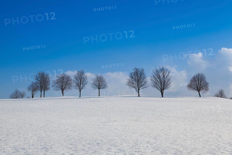 Winter landscape under blue sky