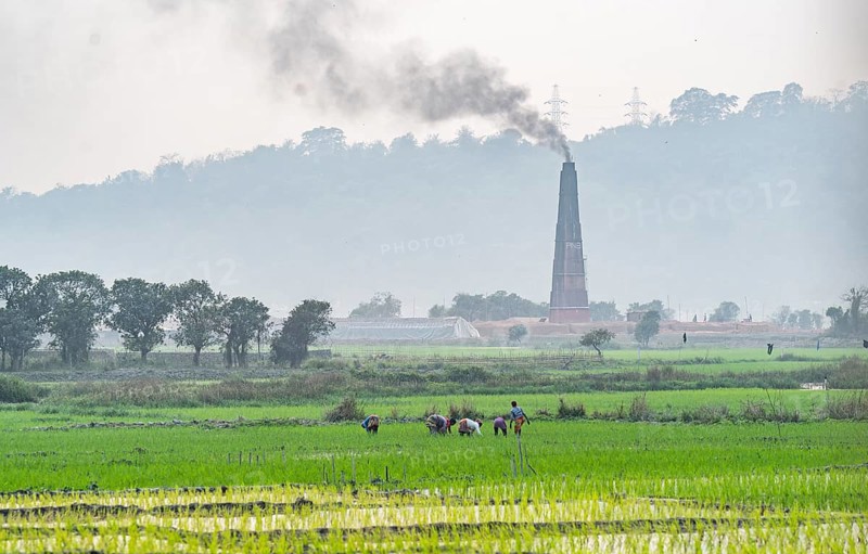 A brick factory chimney smokes as farmers work in an rice agricultural field at Mayong village in Morigaon, India on 6 February 2025