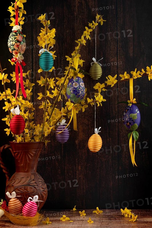 Branches of forsythia (Forsythia) in a rustic jug hung with Easter eggs against a dark background