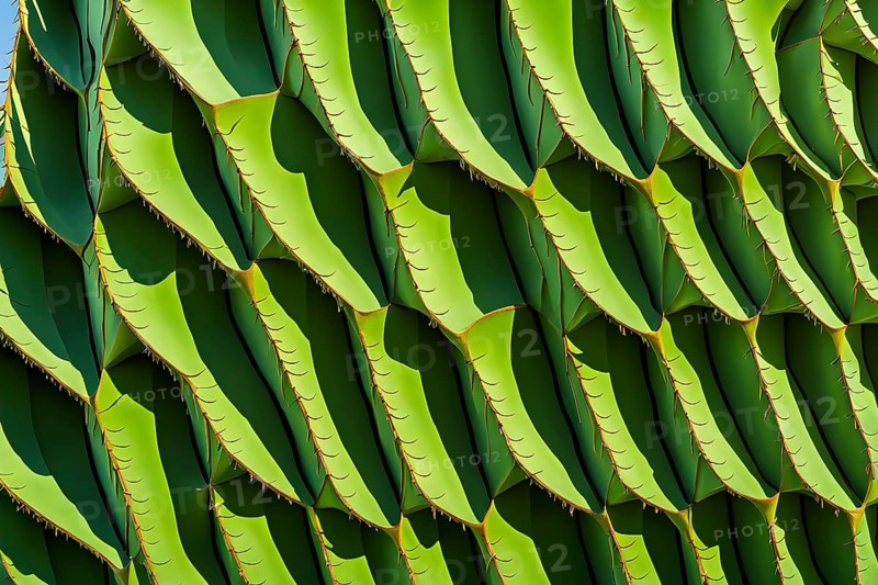 Facade of a building inspired by the skin of a cactus showcasing natural methods of heat regulation and water retention, AI generated