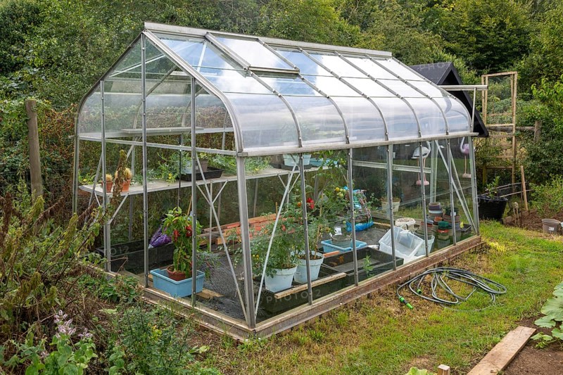 Glass greenhouse vegetables growing inside, England, UK