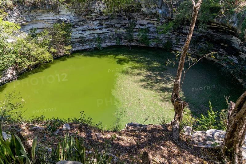 Sacred Cenote, Chichen Itzá, Mayan ruins, Yucatan, Mexico, Central America