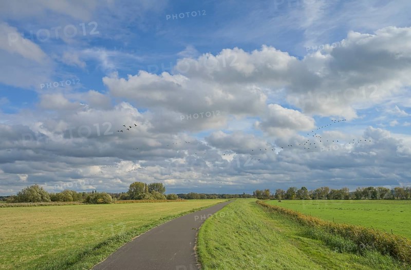 Havel cycle path, meadows, dyke, Havel floodplain north of Phöben, Brandenburg, Germany, Europe