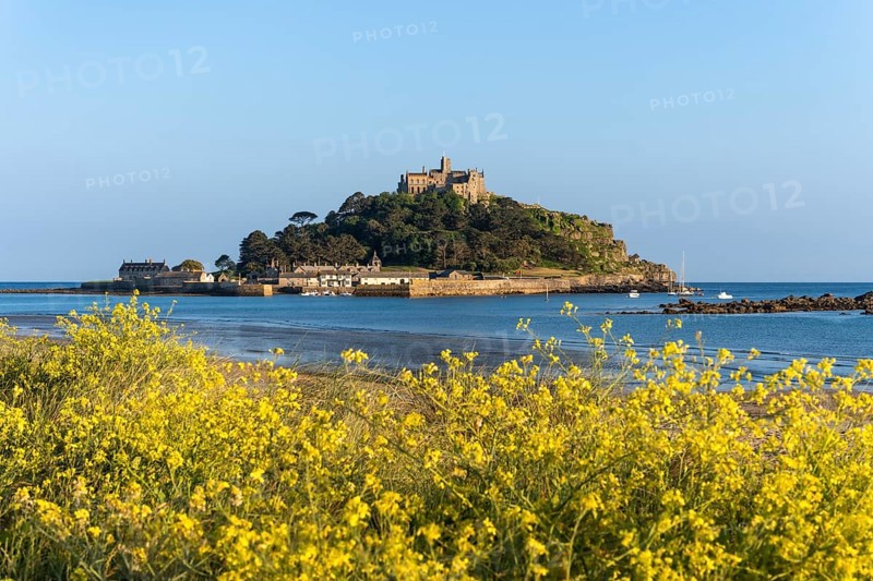View of St Michaels Mount, from Marazion Beach. Yellow flowers in front. St Michael's Mount, Marazion, Cornwall, England, Great Britain