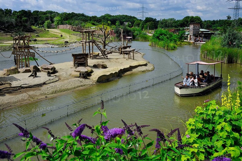 Boat safari, ZOOM Erlebniswelt, Gelsenkirchen, North Rhine-Westphalia, Germany, Europe