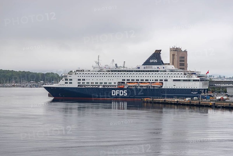 A picture of a DFDS cruise