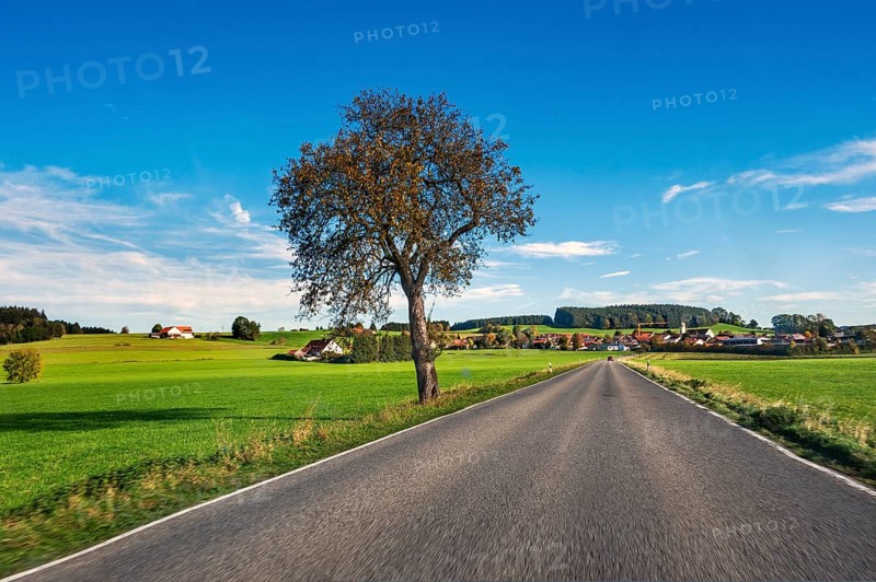 Country road, meadows and forest, blue sky near Leutkirch, Allgäu, Bavaria, Germany, Europe