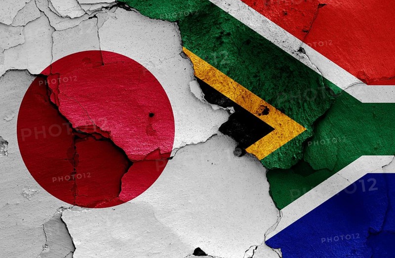 Flags of Japan and South Africa painted on cracked wall