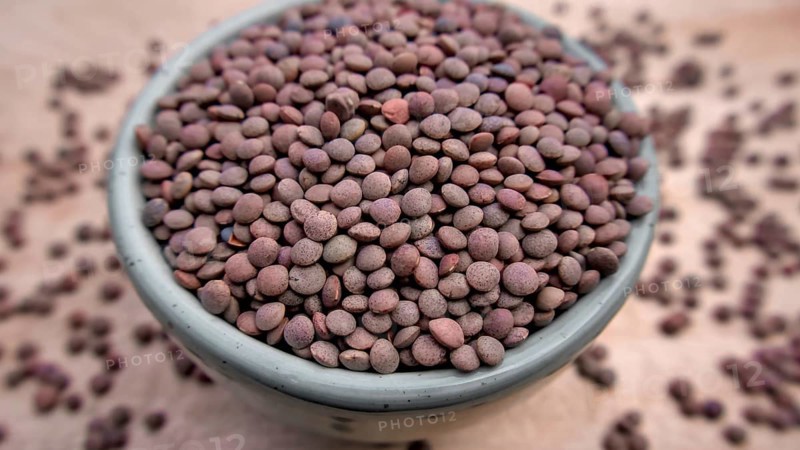 Whole Brown Lentils in a Blue Bowl, Rustic Close-Up Shot, Vegan Food