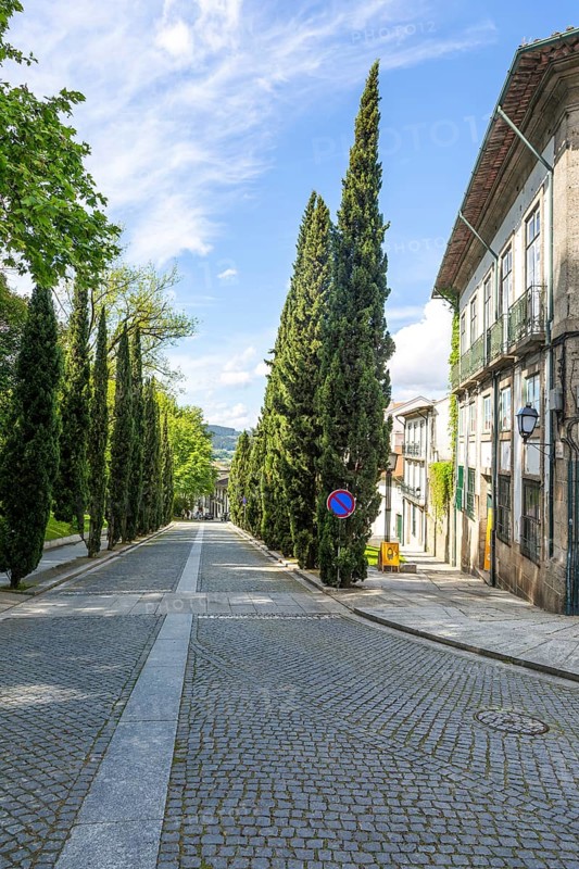 Historic buildings cypress trees street, Largo Martins Sarmento, city of Guimaraes, northern Portugal