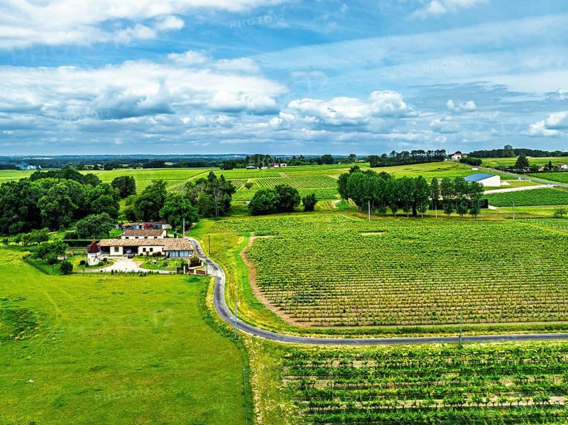 Vineyards and grape fields around Bordeaux from a drone, Saint-Mariens, Gironde, Nouvelle-Aquitaine, France, Europe