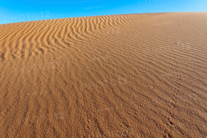A sandy desert with a blue sky in the background. The sand is ribbed and has a slight slope. Merzouga, Errachidia, Draa-Tafilalet, Morocco, Africa