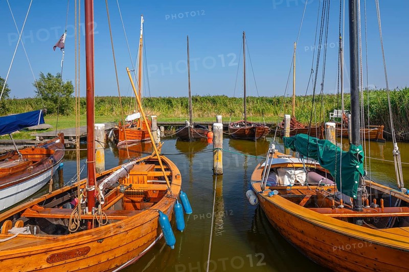 Harbour of Althagen, Ahrenshoop, Fisch-Darß-Zingst peninsula, Mecklenburg-Western Pomerania, Germany, Wustrow, Mecklenburg-Western Pomerania, Germany, Europe