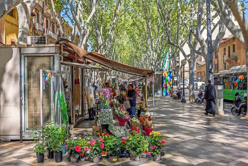 La Rambla a famous avenue with walking people among the flower shops in the city of Palma, Palma de Mallorca, Mallorca, Spain, Europe