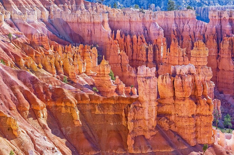 Bryce Canyon, Bryce Canyon National Park, Utah, USA, North America