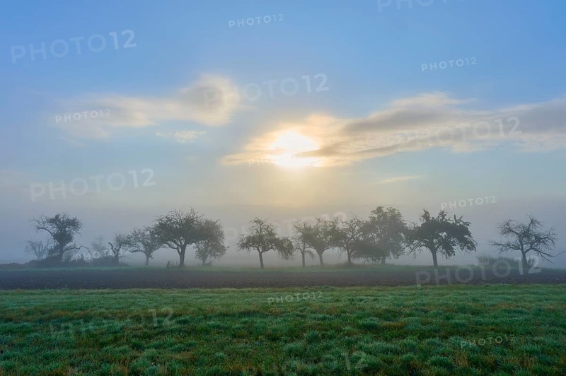 Foggy landscape with sunrise and Mönchberg, Miltenberg, Spessart, Bavaria, Germany, Europe