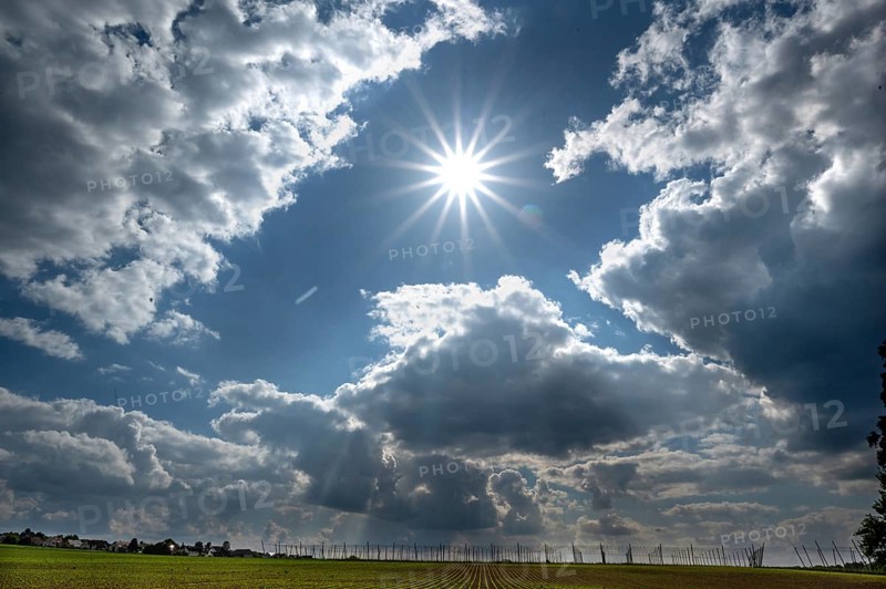 Hop and wheat cultivation, cloudy sky with sun star, Franconia, Bavaria, Germany, Europe