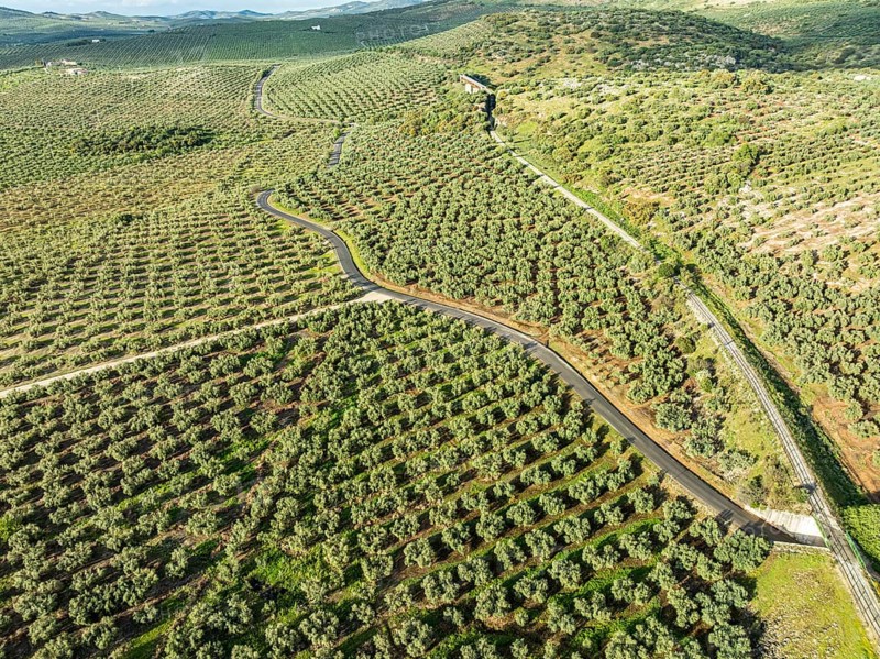 Cycle path Via Verde Del Aceite (right), old railroad track passes through olive fields, near village Cabra, Andalusia, Spain, Europe
