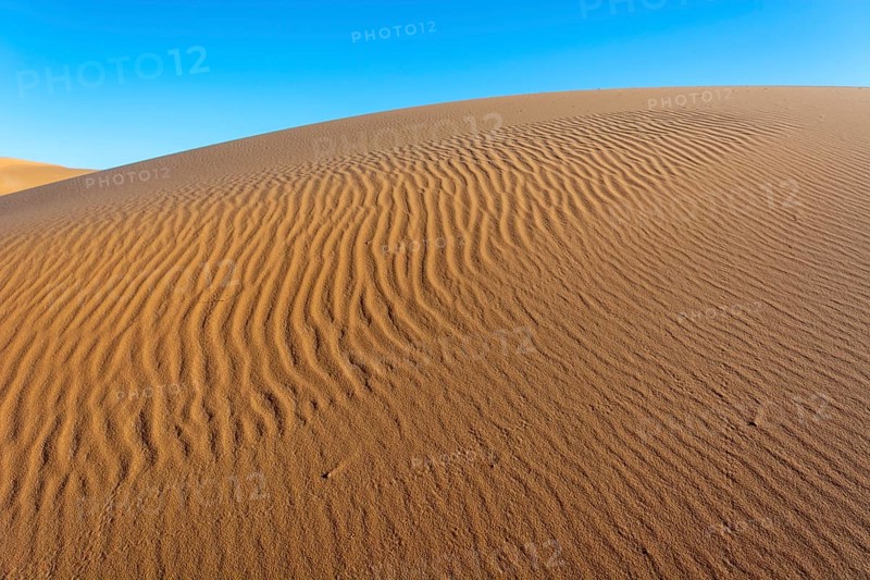 A sandy desert with a blue sky in the background. The sand is ribbed and has a slight slope. Merzouga, Errachidia, Draa-Tafilalet, Morocco, Africa