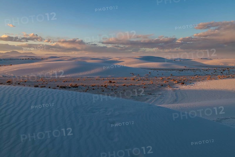 Smooth curved sand dunes in evening light at White Sands National Park in Alamogordo, New Mexico, USA, North America