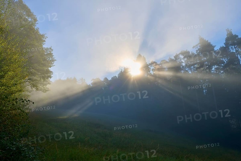 Gentle rays of sunshine penetrate the misty forest in the morning and create a peaceful atmosphere, Mönchberg, Miltenberg, Spessart, Bavaria, Germany, Europe