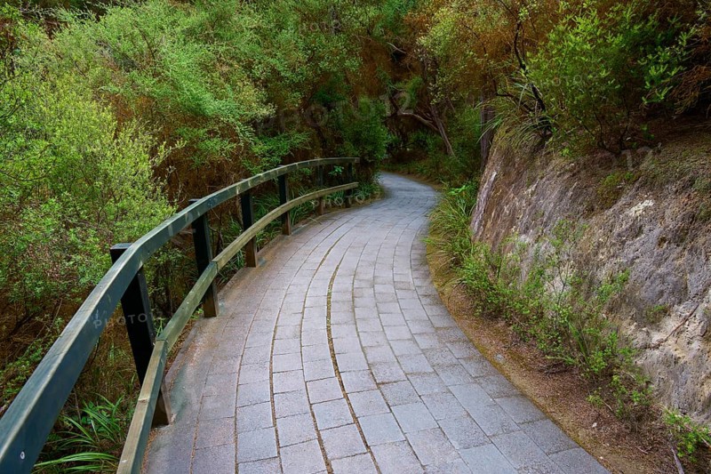 Curved stone path with railings through a green forest landscape, Wai-O-Tapu Thermal Wonderland, Rotorua, North Island, New Zealand, Oceania