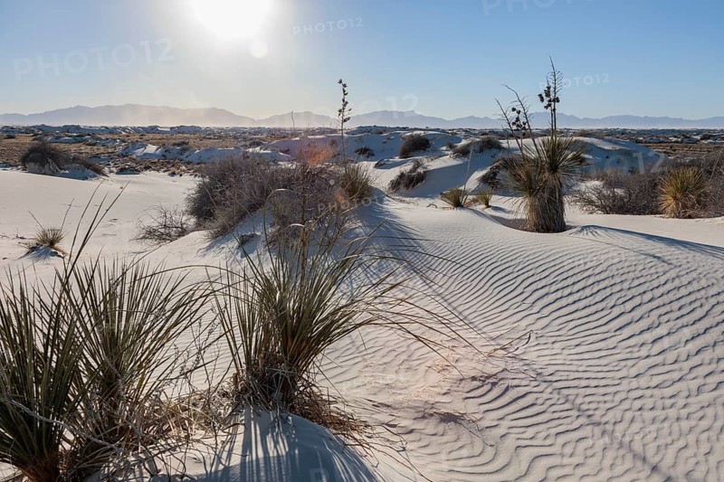 Gypsum dunefields at White Sands National Monument located within the Chihuahuan Desert and the Tularosa Basin near Alamorodo, New Mexico, USA, North America